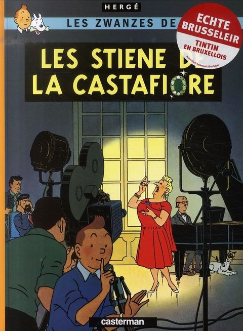 Couverture de l'album Les pinderlots de l'castafiore 