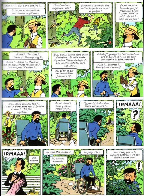 Aperçu de l'album Tintin (Pubs, éditions atypiques, HS...) tome 21 - Les pinderlots de l'castafiore 