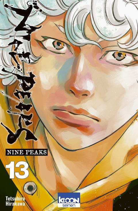 Couverture de l'album Nine Peaks