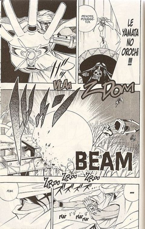 Aperçu de l'album Shaman King tome 21