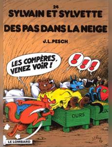 Couverture de l'album Des pas dans la neige