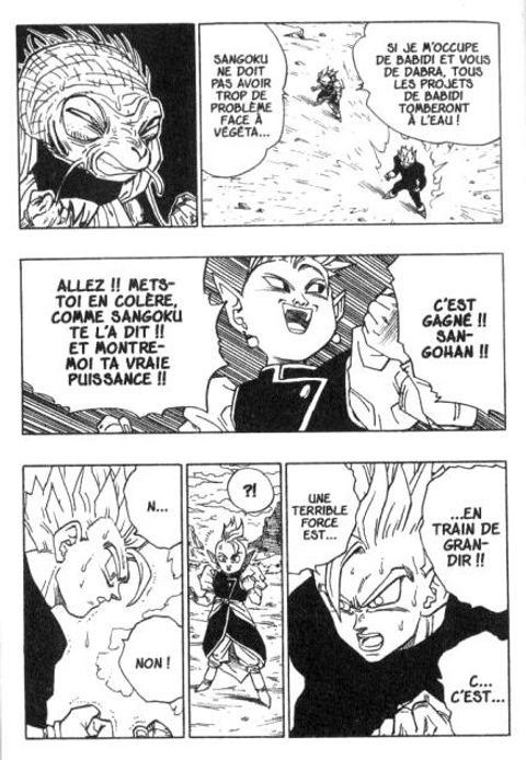 Aperçu de l'album Dragon Ball tome 20