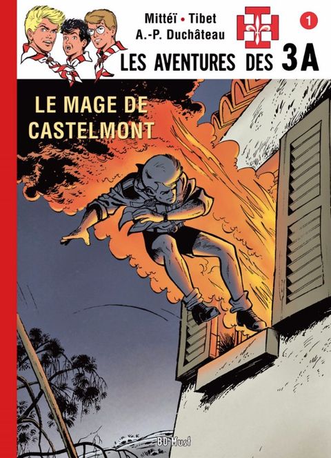 Couverture de l'album Le Mage de Castelmont