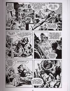Aperçu 3 de l'album Swamp Thing tome 1
