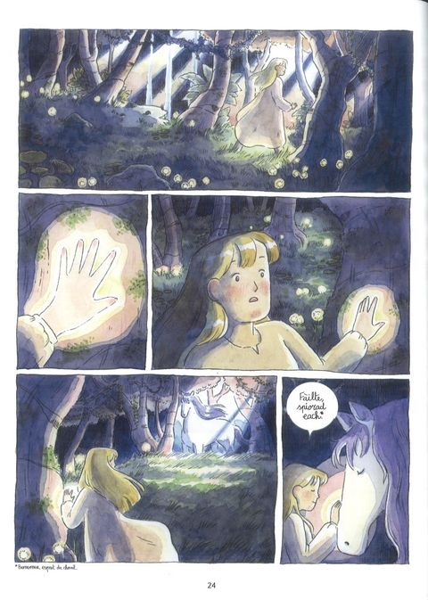 Aperçu de l'album Le Livre d'Ayla tome 1 - La rune des deux mondes