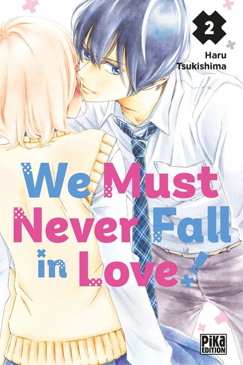 Couverture de l'album We Must Never Fall in Love!