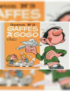 Couverture de l'album Gaffes à gogo