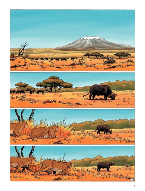 Aperçu de l'album Kenya (Saison 1) tome 5 - Illusions