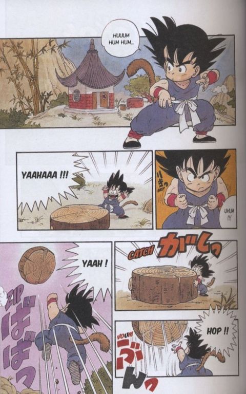Aperçu de l'album Dragon Ball - Perfect édition tome 1