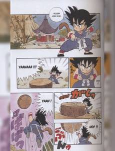 Aperçu 3 de l'album Dragon Ball - Perfect édition tome 1