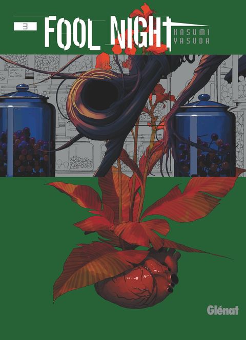 Couverture de l'album Fool Night