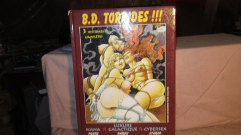 Couverture de l'album BD Torrides