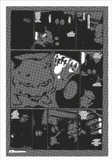Aperçu de l'album Kuro un Coeur de Chat tome 5
