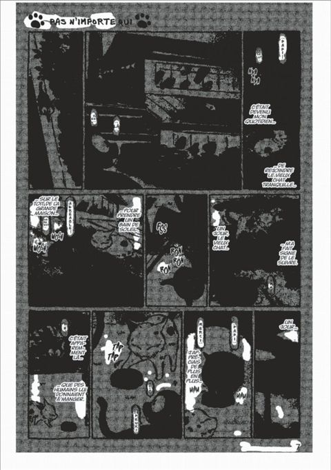 Aperçu de l'album Kuro un Coeur de Chat tome 5