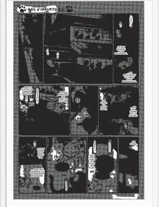 Aperçu 7 de l'album Kuro un Coeur de Chat tome 5