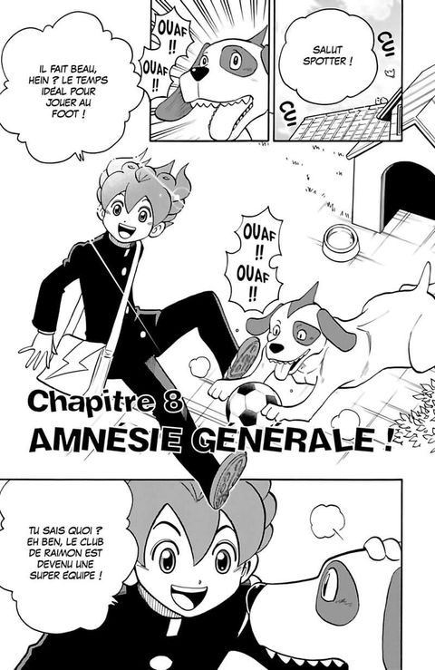 Aperçu de l'album Inazuma Eleven Go tome 3