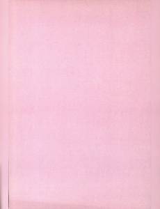 Aperçu 2 de l'album Modeste et Pompon (Mittéï/Godard) tome 1 - Les mésaventures de Modeste et Pompon 1