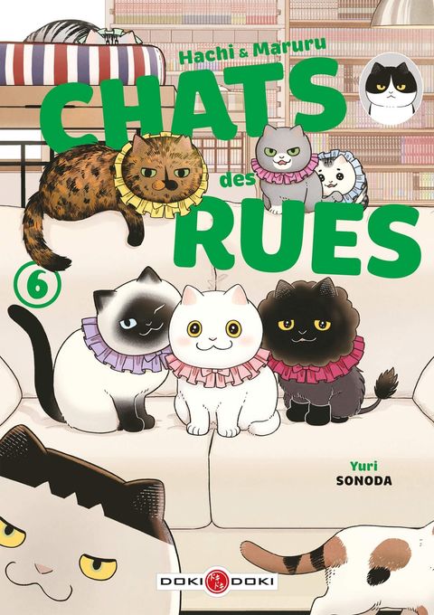 Couverture de l'album Hachi & Maruru - Chats des rues