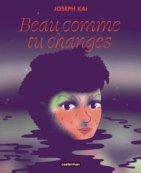 Couverture de l'album La mécanique des sensibles