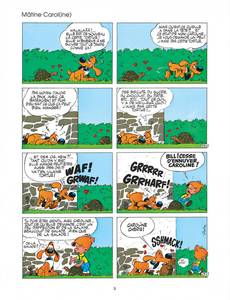 Aperçu 5 de l'album Boule & Bill tome 11 - Bill de match