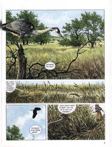 Aperçu 3 de l'album La mémoire des arbres tome 5 - La Belle Coquetière Tome 1