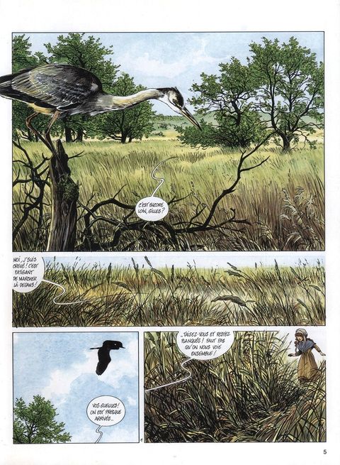 Aperçu de l'album La mémoire des arbres tome 5 - La Belle Coquetière Tome 1