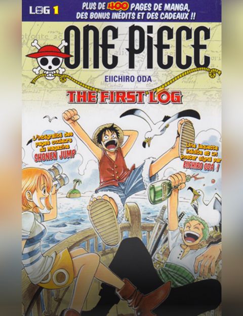 One Piece Log (Hachette) tome 1 - The First Log - Bubble BD