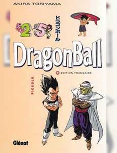 Couverture de l'album Piccolo