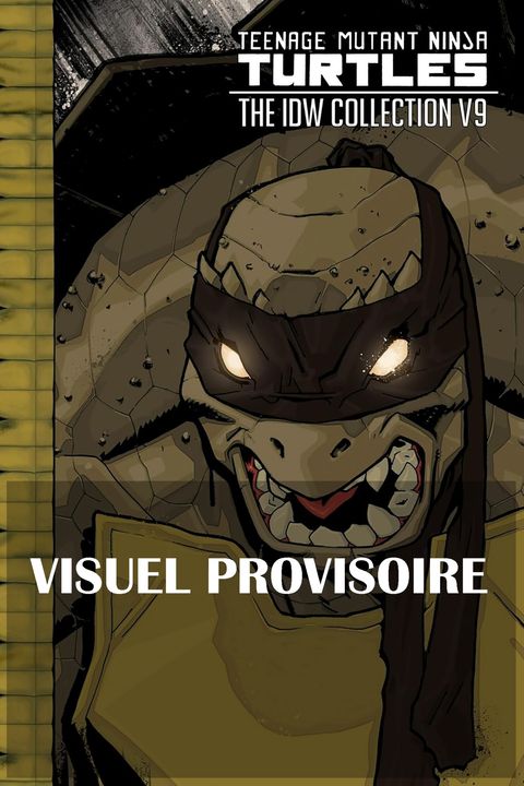 Couverture de l'album Les Tortues Ninja - TMNT - L’intégrale 