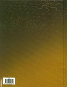 Aperçu 2 de l'album Mic Mac Adam (Int.) tome 3 - Le Livre de Soufre (Les premières aventures)