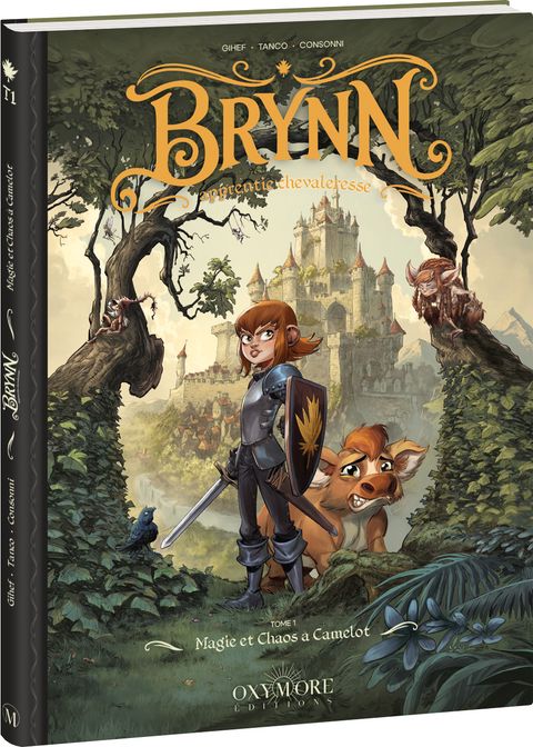 Couverture de l'album Magie et Chaos à Camelot
