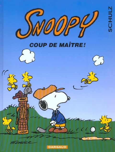 Couverture de l'album Coup de Maître