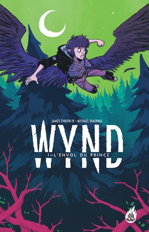 Couverture de l'album Wynd