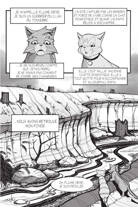 Aperçu de l'album La guerre des clans illustrée - Hors collection série - Les aventures de Plume Grise