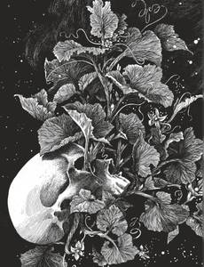 Couverture de l'album La tête de mort venue de Suède