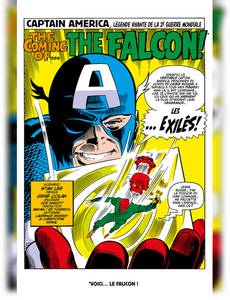 Aperçu 7 de l'album Marvel-verse - Falcon & Winter Soldier