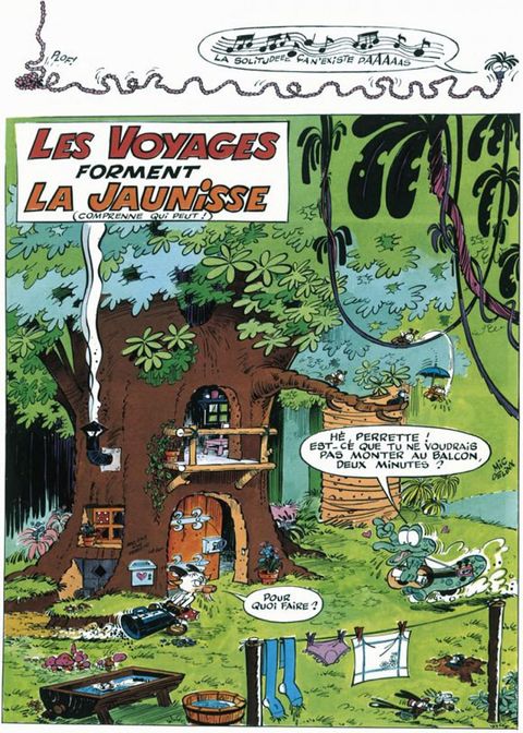 Aperçu de l'album La Jungle en Folie tome 1