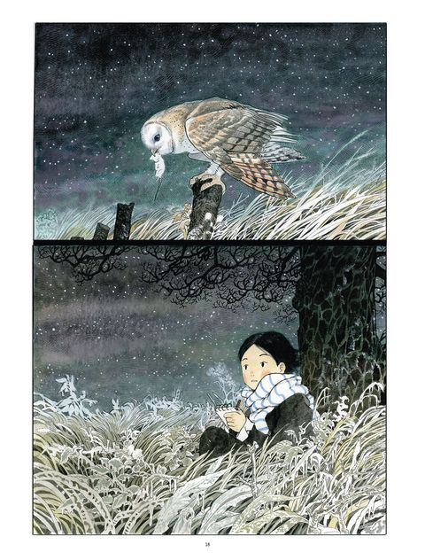 Aperçu de l'album Terre ou Lune tome 1