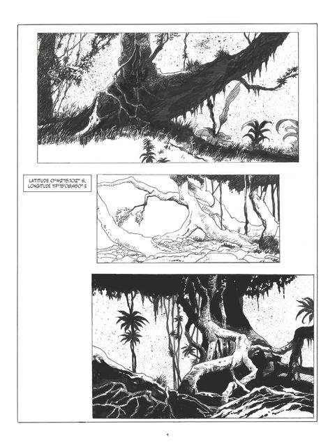 Aperçu de l'album King Kong