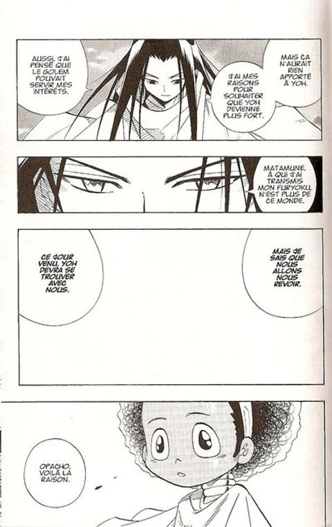 Aperçu de l'album Shaman King tome 23