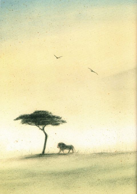 Aperçu de l'album Le lion
