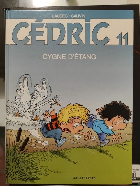 Couverture de l'album Cygne d'étang