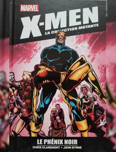 Couverture de l'album Le phénix noir