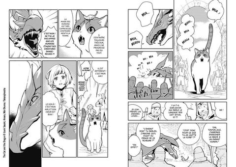 Aperçu de l'album Cats and Dragon tome 1