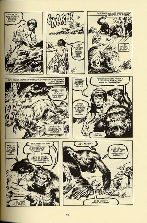 Aperçu de l'album Tarzan tome 2