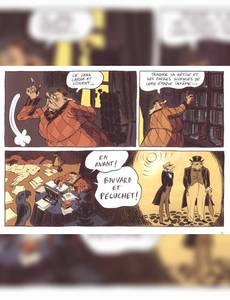Aperçu 3 de l'album Flaubert, la Dernière Ligne