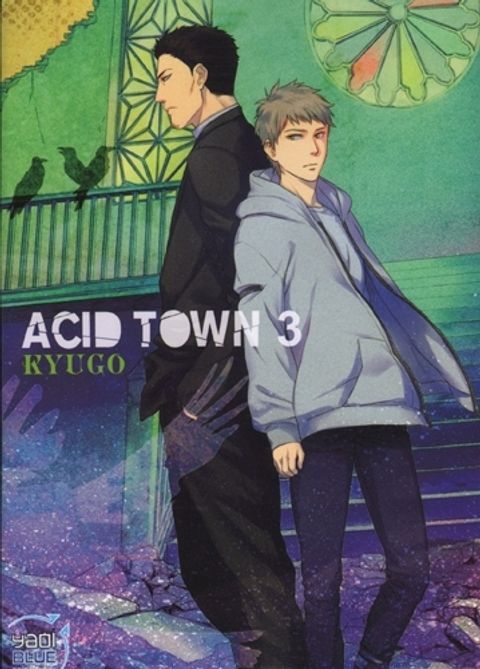 Couverture de l'album Acid Town