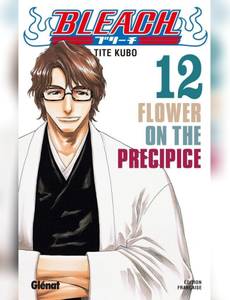 Couverture de l'album Flower on The Precipice