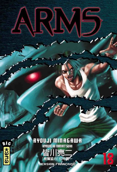 Couverture de l'album Arms