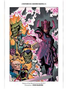 Aperçu 6 de l'album L'Histoire de l'Univers Marvel - L'histoire de l'univers Marvel